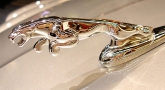 Jaguar ����������� ���� ������