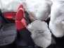 KIA Soul фотография